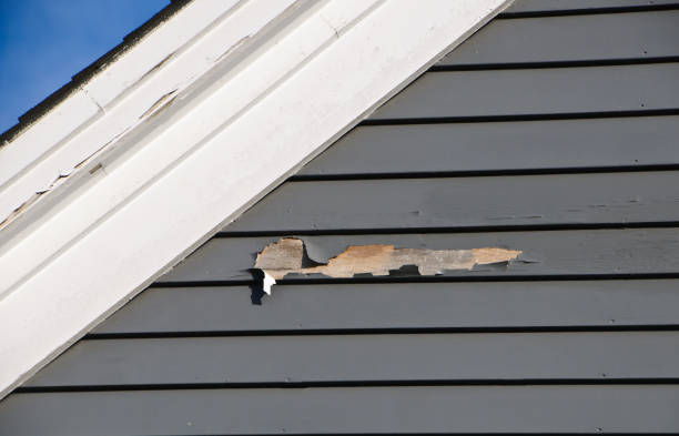 Best Same-Day Junk Removal Services  in Hartley, CA